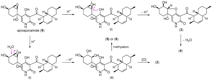 Scheme 1