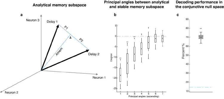 Figure 5—figure supplement 2.