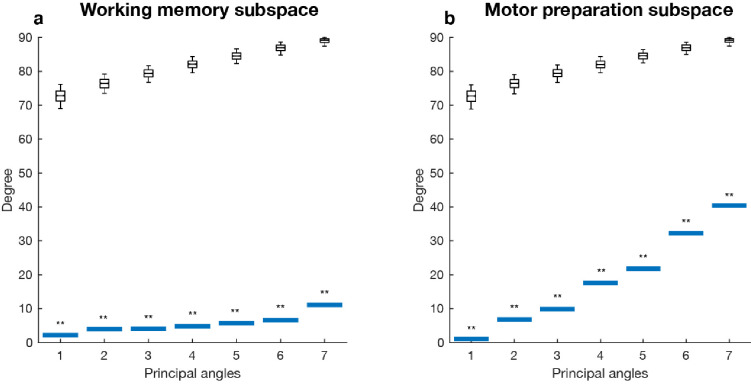 Figure 5—figure supplement 1.