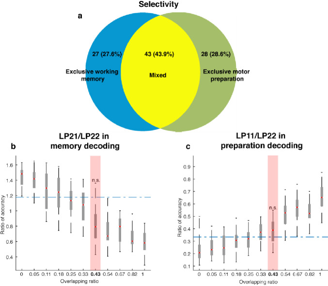 Figure 4—figure supplement 3.