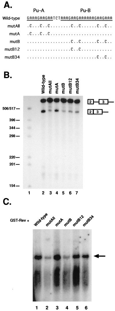 FIG. 5