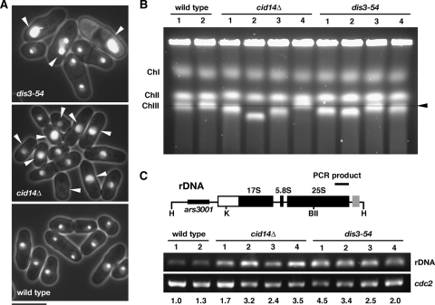 FIG. 7.