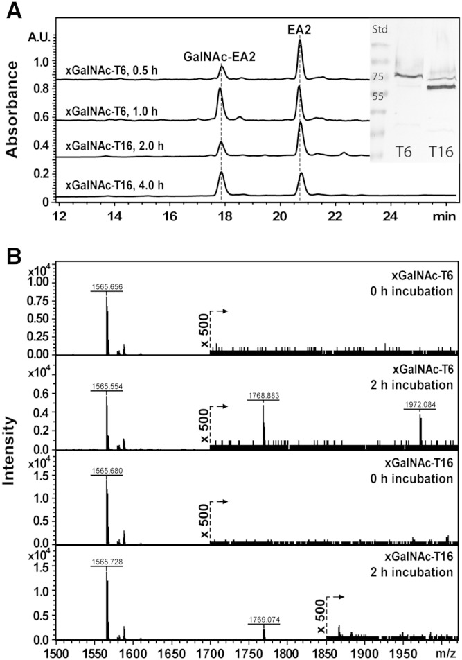 Fig. 2