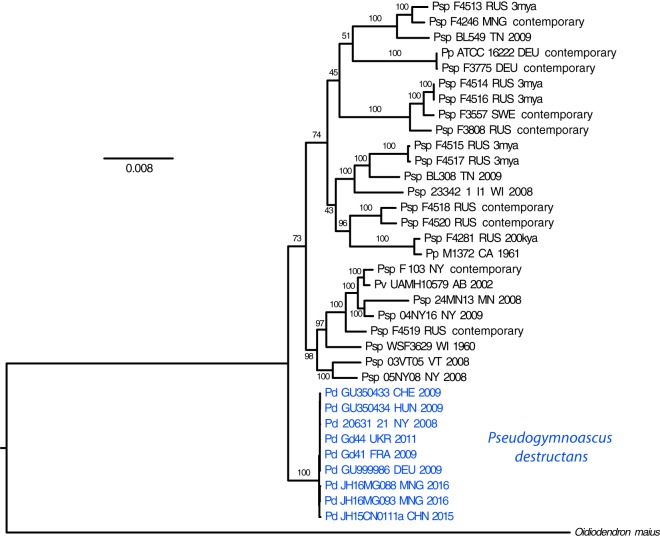 FIG 1 