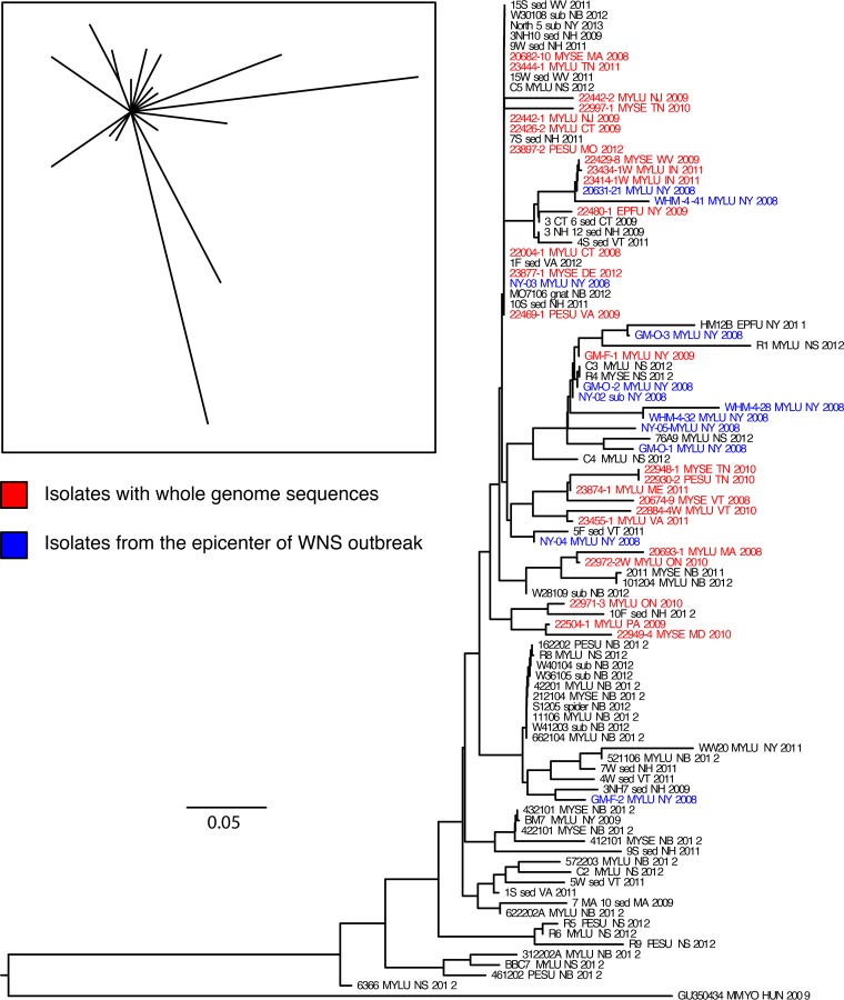 FIG 3 