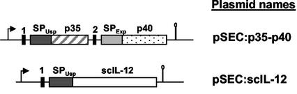 FIG. 2.