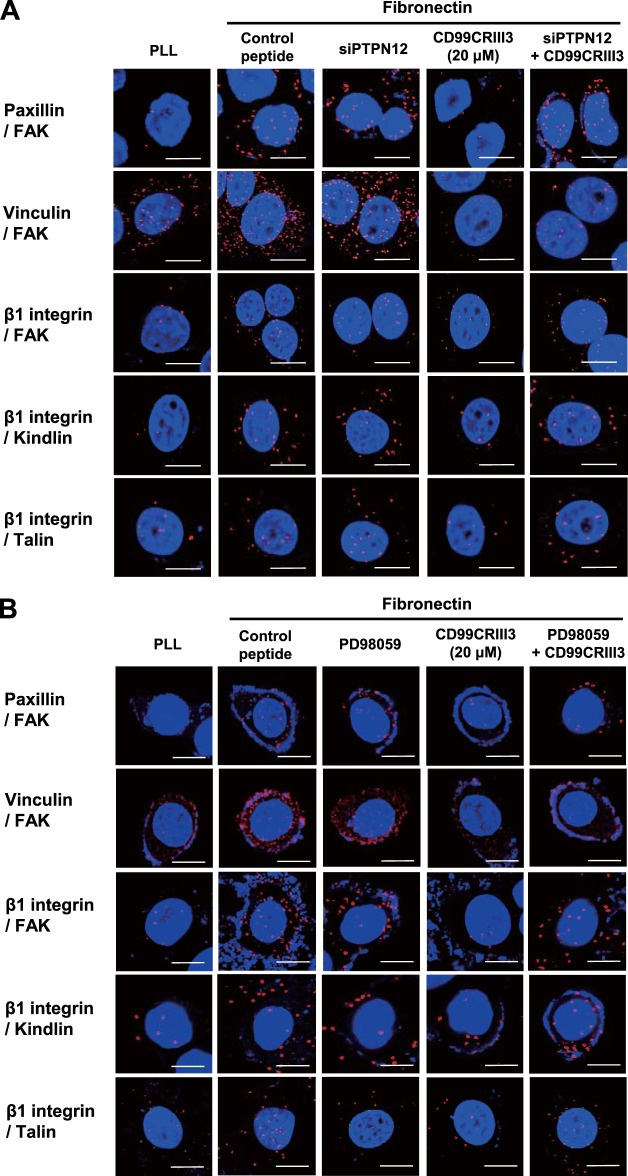 FIG 8