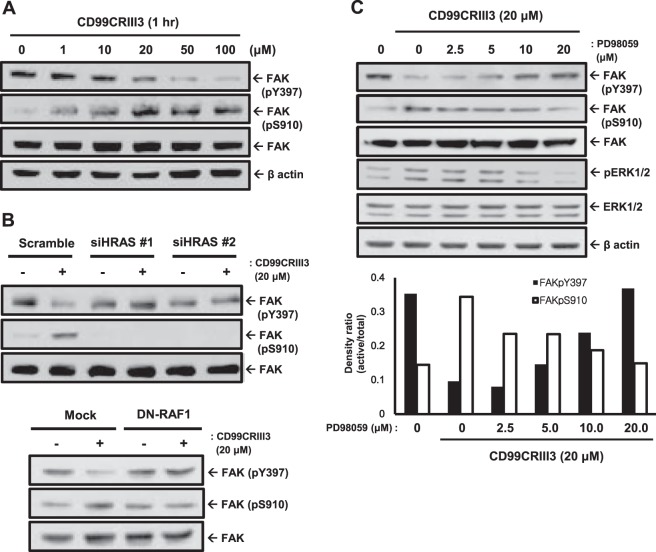 FIG 6