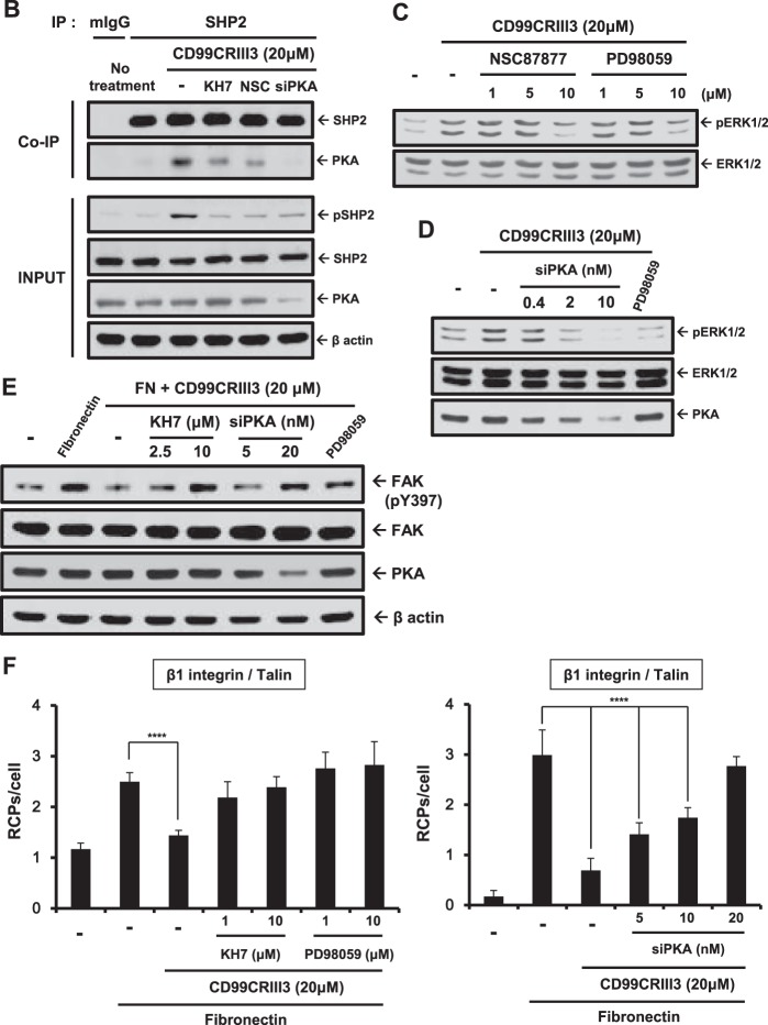 FIG 5