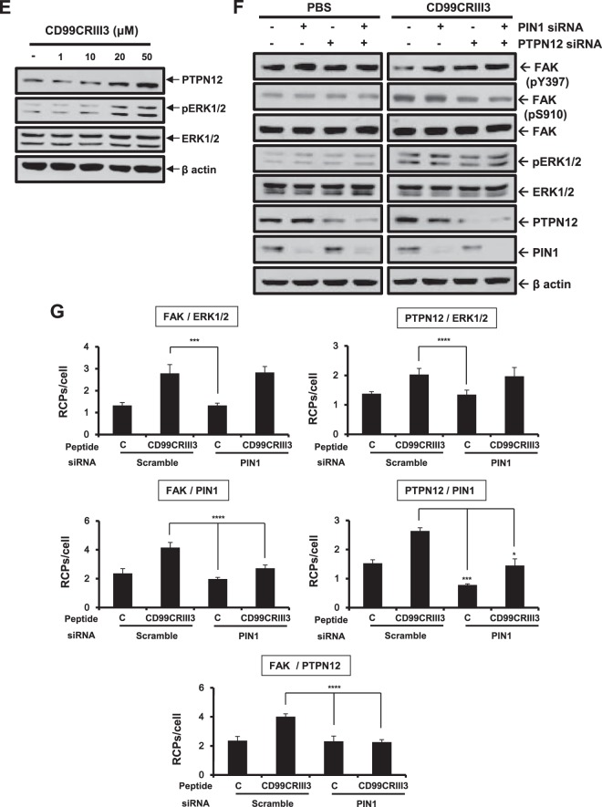 FIG 7