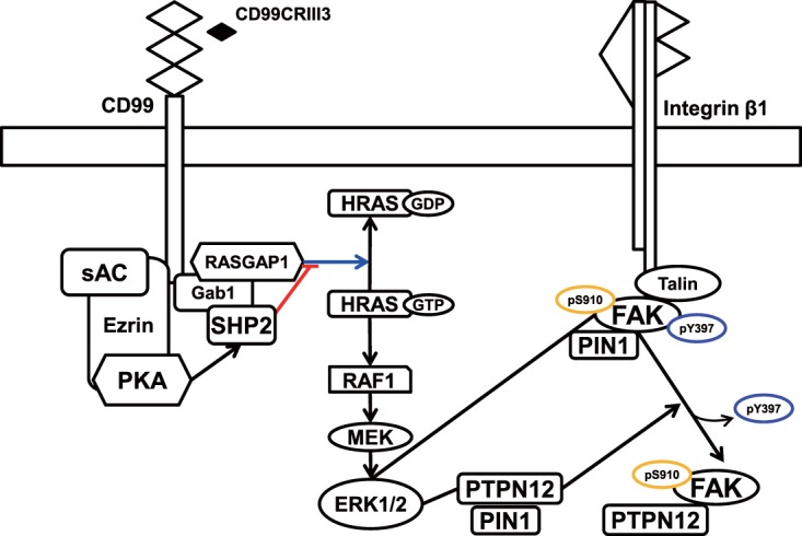 FIG 9