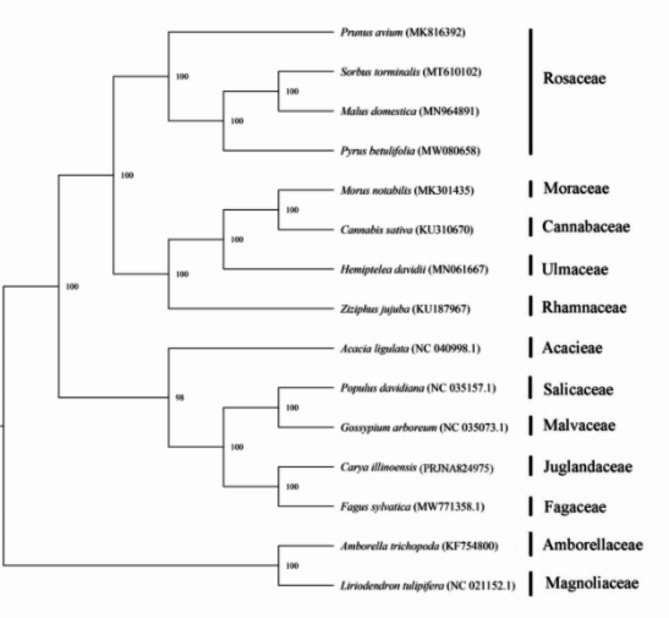 Fig. 8