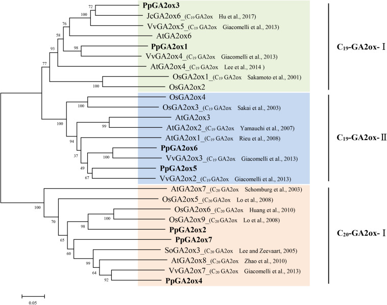 FIGURE 2