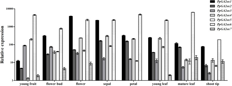 FIGURE 4