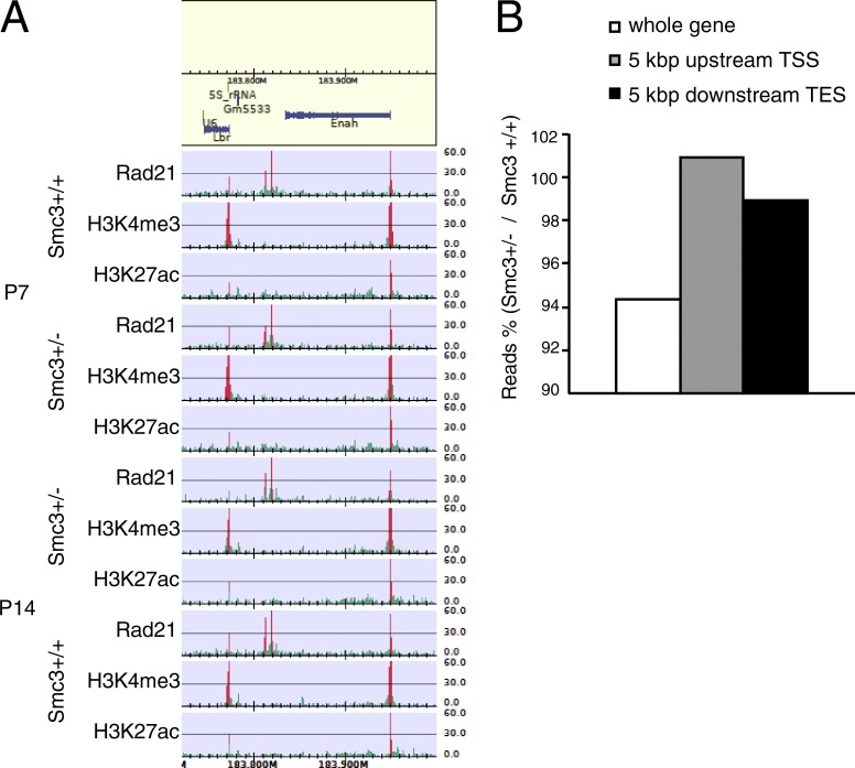 Figure 10.