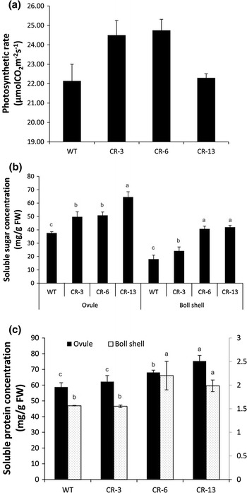 Fig. 3