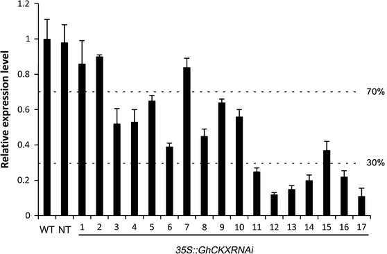 Fig. 1