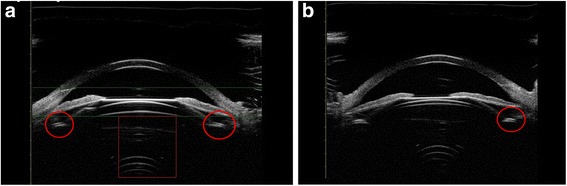 Fig. 9