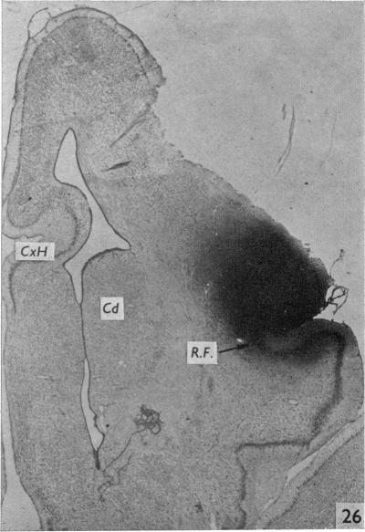 Fig. 26