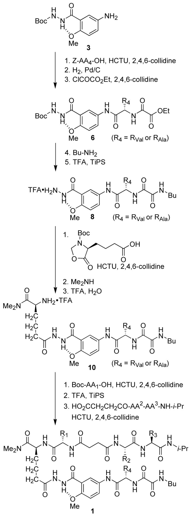 Scheme 1