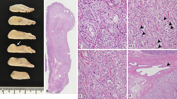 Figure 5.