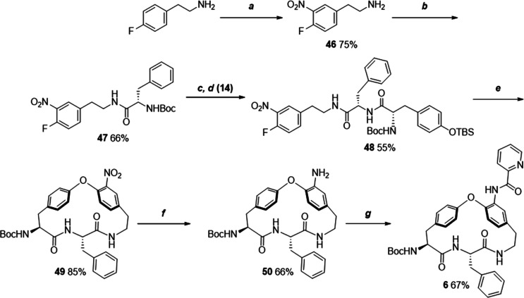 Scheme 3