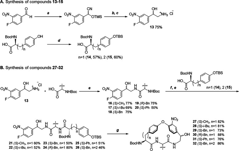 Scheme 1