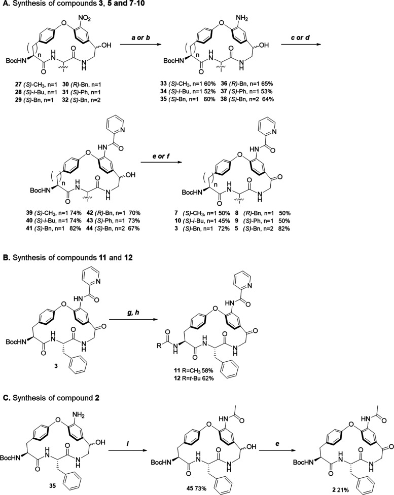 Scheme 2