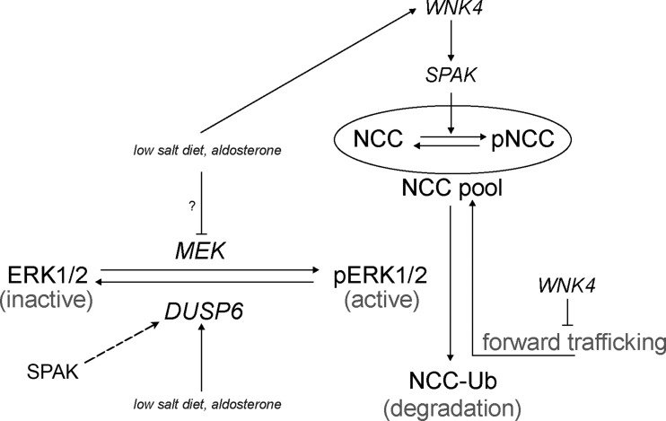 Fig. 8.