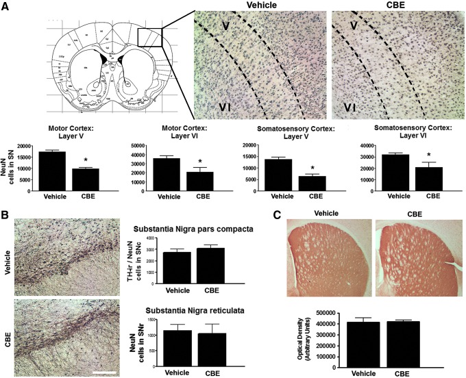 FIG. 7.