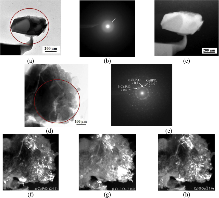 Fig. 12