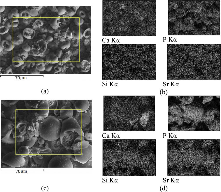 Fig. 13