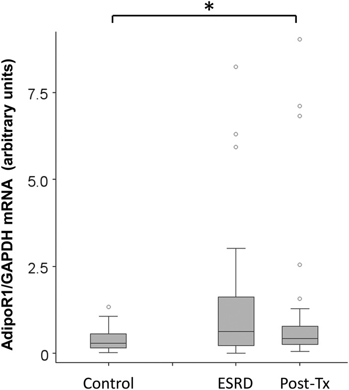 FIGURE 3: