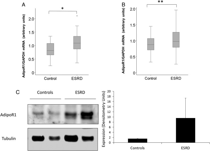 FIGURE 2: