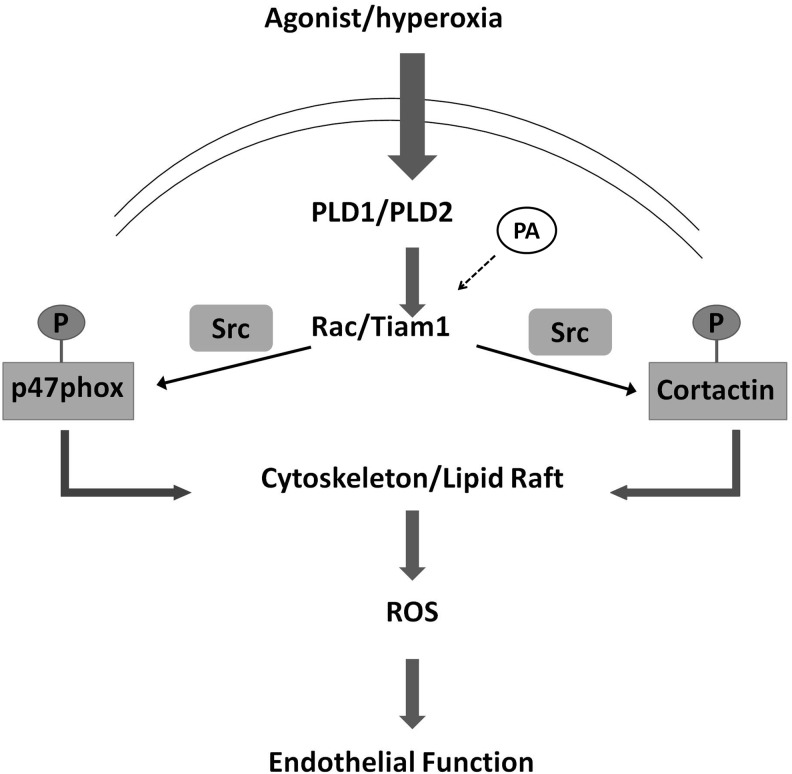 FIG. 8.