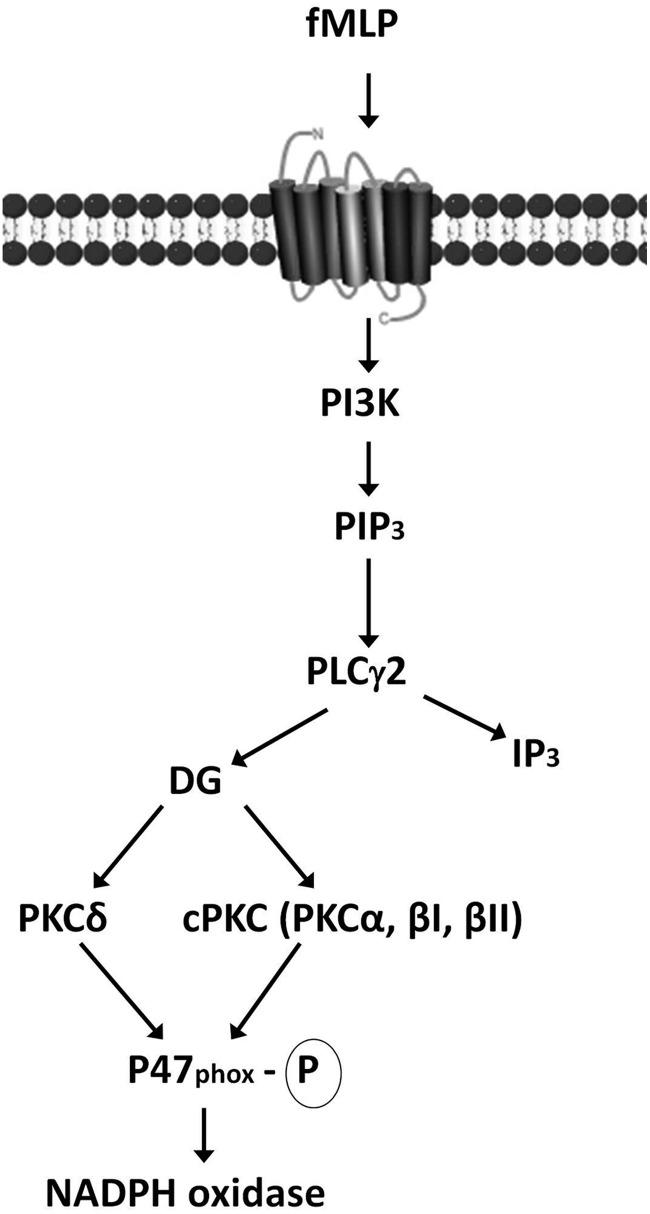 FIG. 7.