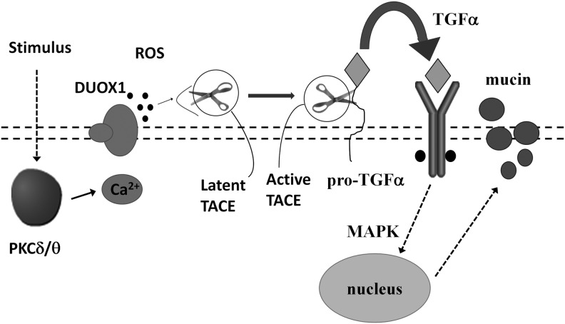 FIG. 5.