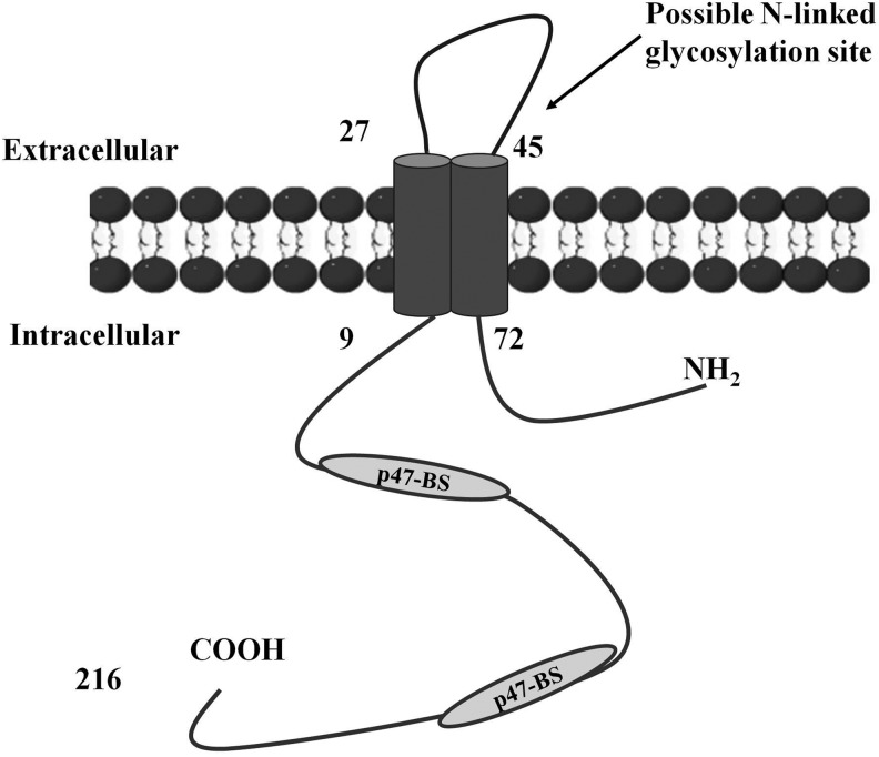 FIG. 6.