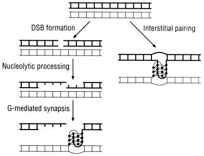 FIG. 8