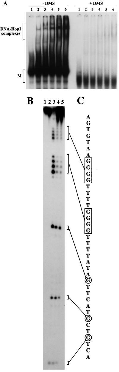 FIG. 7