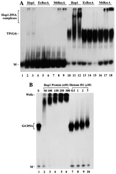 FIG. 5