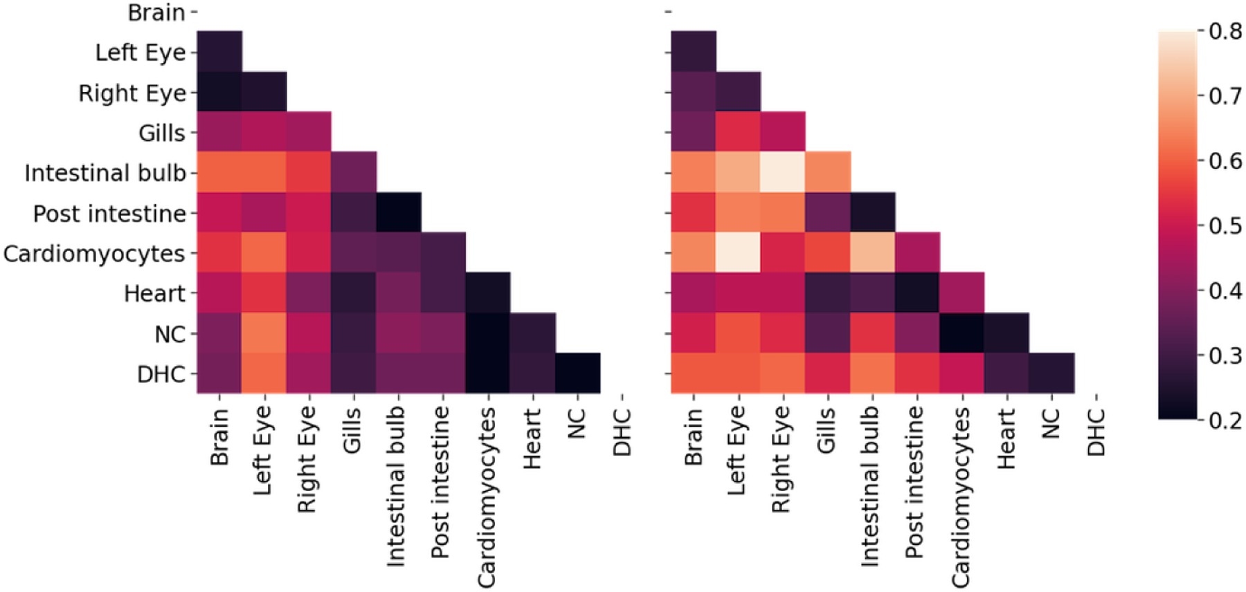 Fig 11: