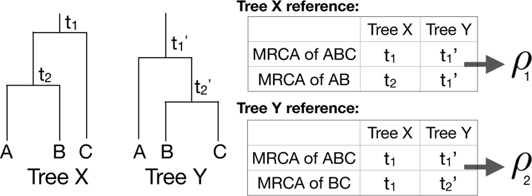 Fig 9: