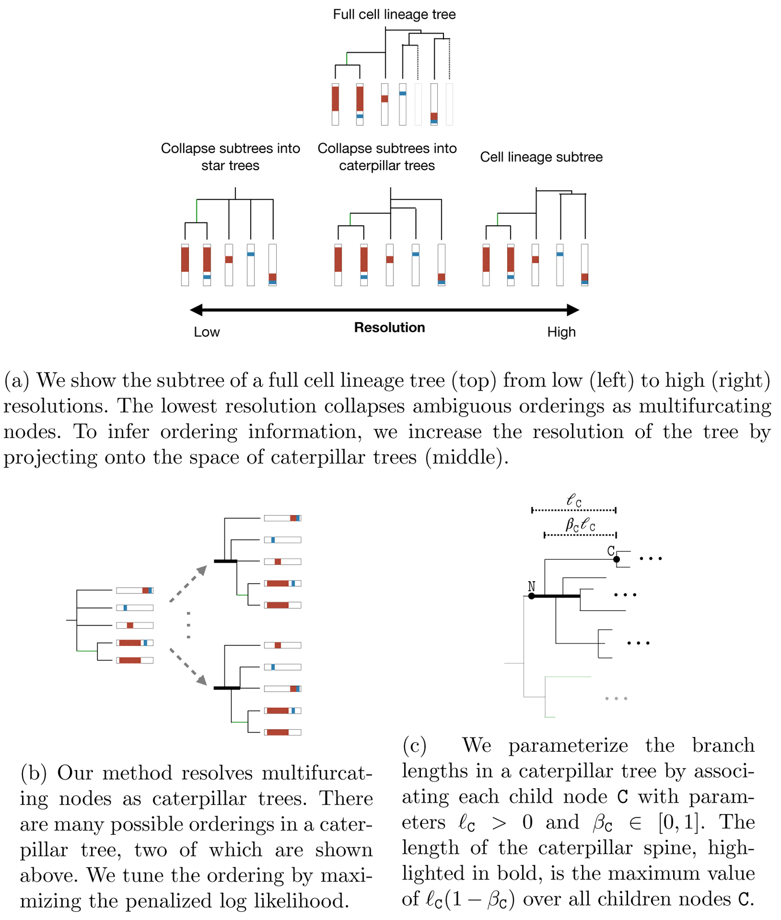 Fig 6: