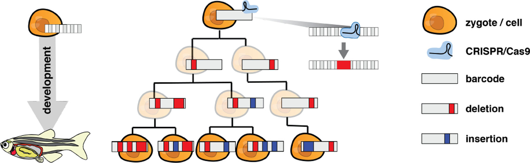 Fig 1: