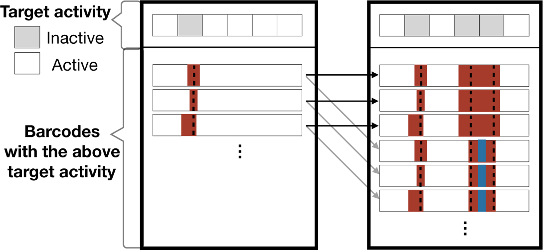 Fig 5: