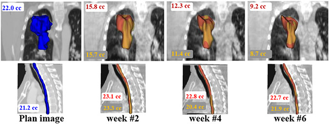 Fig. 8.