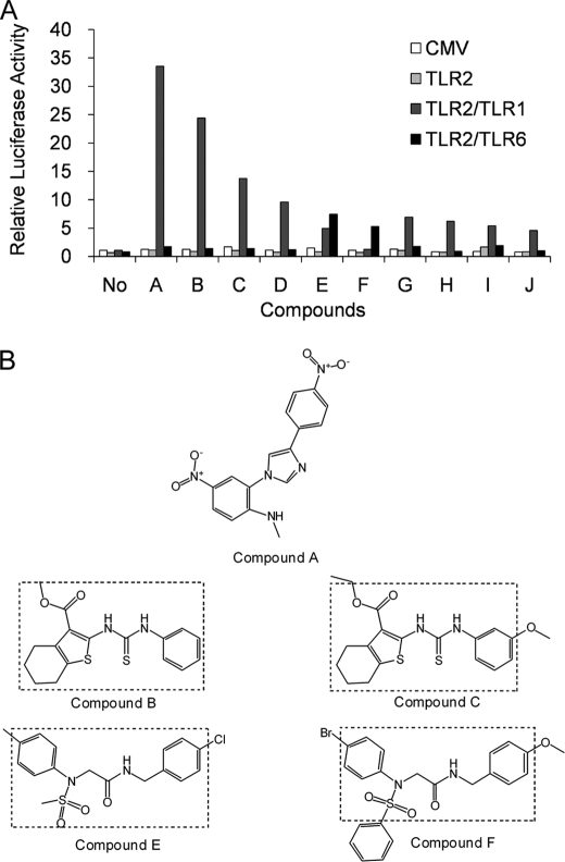 FIGURE 1.