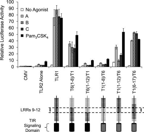 FIGURE 5.