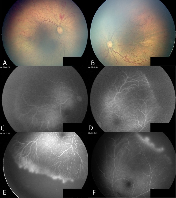 Figure 3